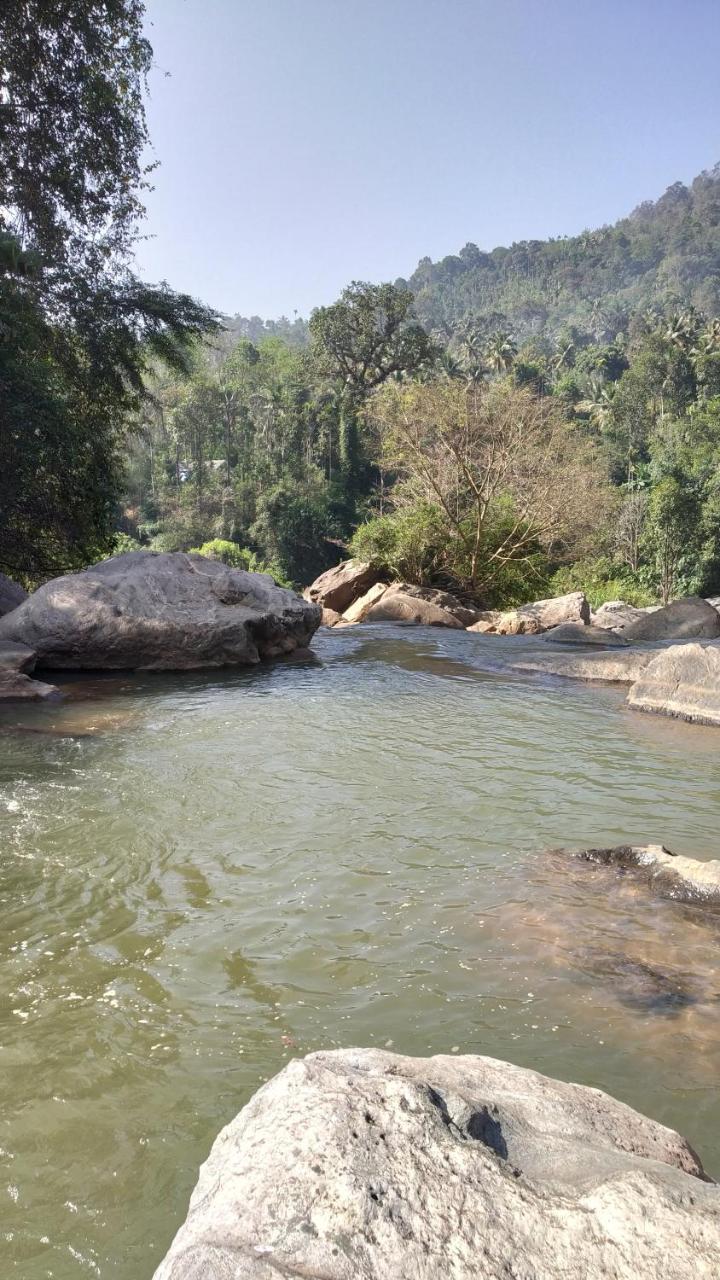 Thoppil Homestay Муннар Экстерьер фото